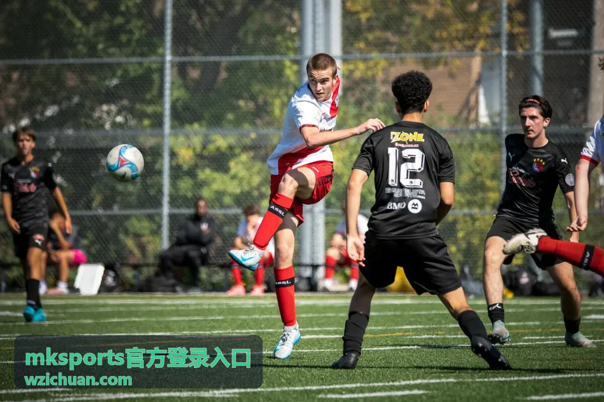 mksports官方登录入口登录入口地址核对与页面识别说明