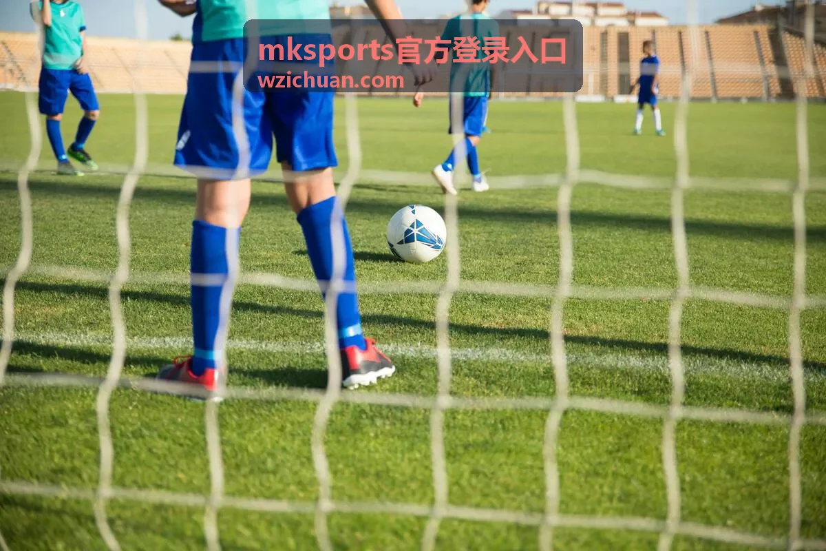 mksports官方登录入口登录问题解答封面