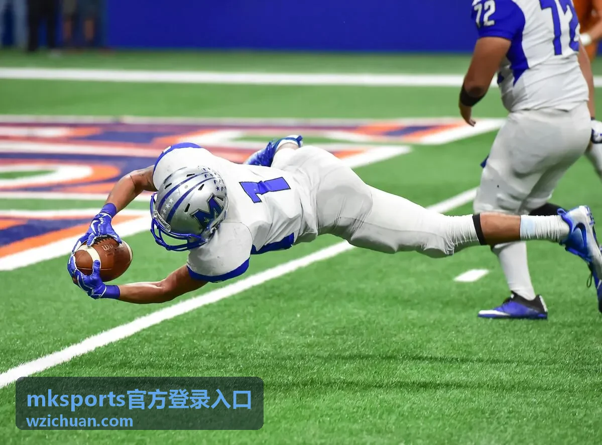 mksports官方登录入口运行所需的设备与版本参数