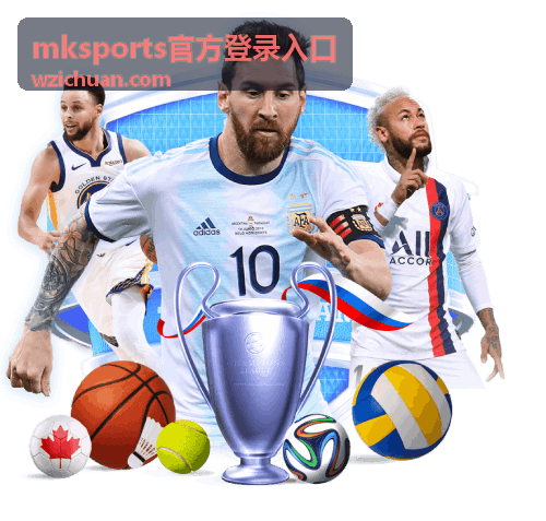 mksports官方登录入口登录问题解答
