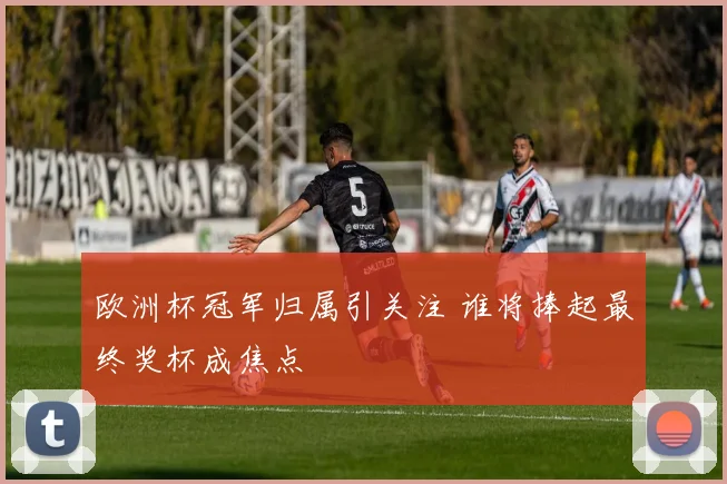 欧洲杯冠军归属引关注 谁将捧起最终奖杯成焦点