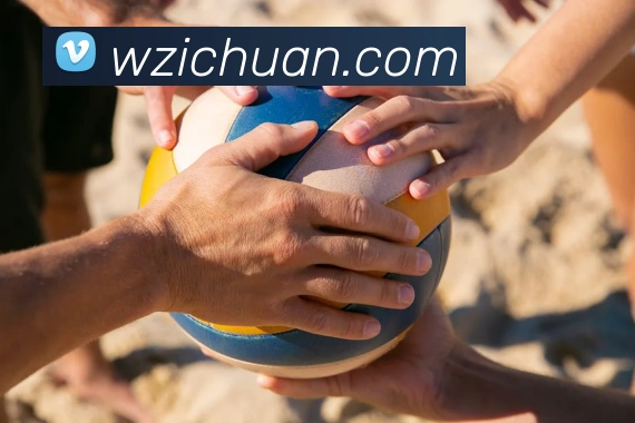 世界杯开户平台平台生态图